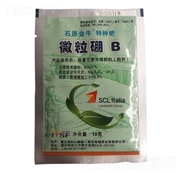 ΢����-�r֮��