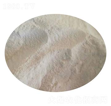 ���Ϸ�ĩ-�r֮��