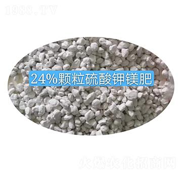 24%�w��������V�����w��-�r֮��