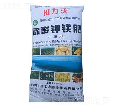 ������V��-������-�r֮��