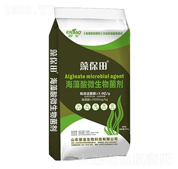 ������΢����������w����-�屣��-����