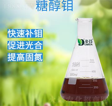 �Ǵ��f-����r�I(y��)