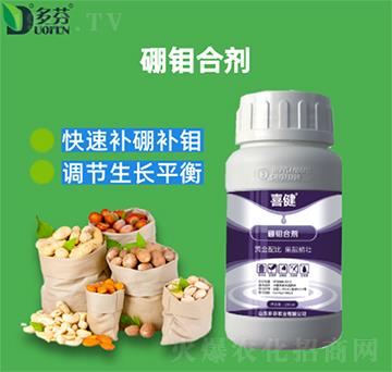 ���f�τ�-ϲ��-����r�I(y��)