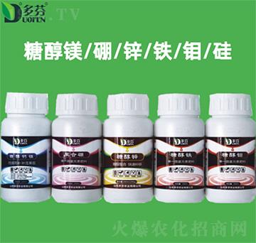 �Ǵ��V���\�F�f��-����r�I(y��)