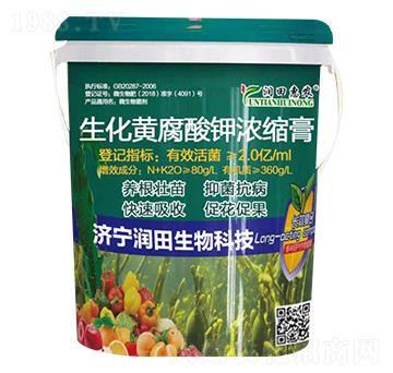 �����S����⛝�s��-������r(n��ng)-��������