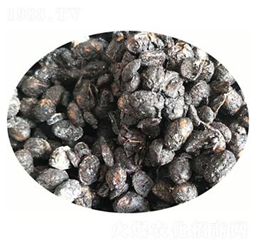 �l(f��)�ʹ������-ݷ�W����