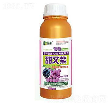 ����������-�S��Դ