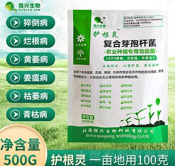 ��(f��)��ѿ�ߗU��-�o(h��)���`-��(qi��ng)�d����