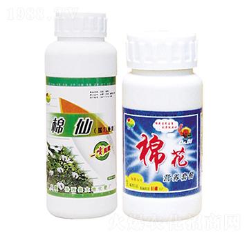 ���ɠI�B(y��ng)�ײ�-��ػ���