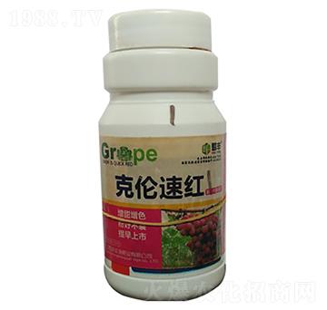 ���ѿ˂��ټt-�S��Դ