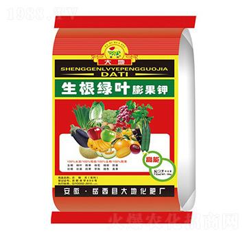 �����G�~����-��ػ���