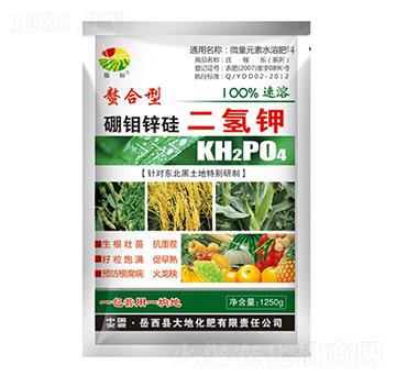 1250g���f�\������-���(bi��o)-��ػ���