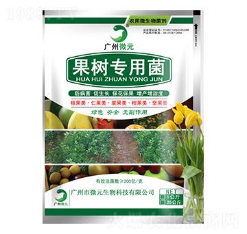 ���䌣�þ�-΢Ԫ����