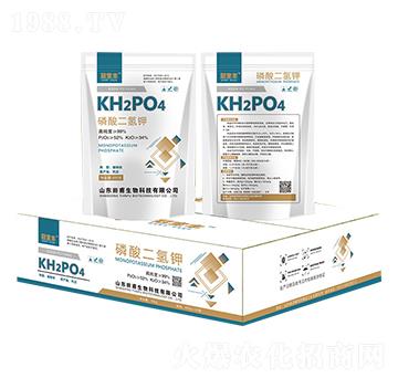 ��������-�ڌ��S-�︦����