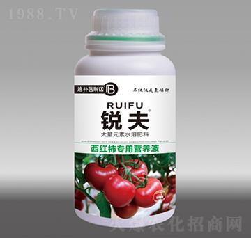 西紅柿專用營(yíng)養(yǎng)液-銳夫-迪樸芭斯諾