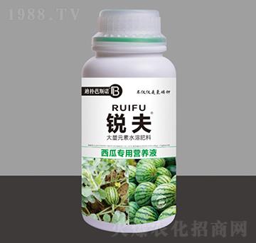 西瓜專用營(yíng)養(yǎng)液-銳夫-迪樸芭斯諾