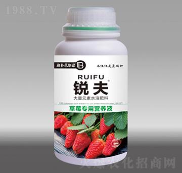 草莓專用營(yíng)養(yǎng)液-銳夫-迪樸芭斯諾