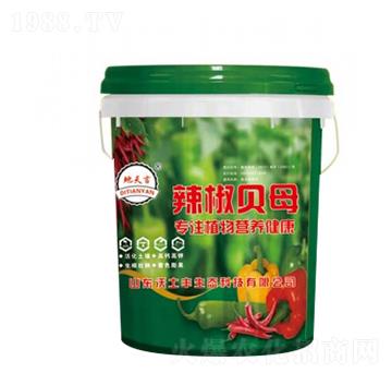 辣椒貝母-沃土豐