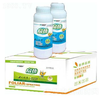 啟勁（藍）-綠四方