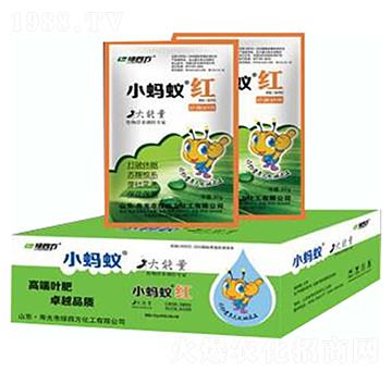 小螞蟻紅-綠四方