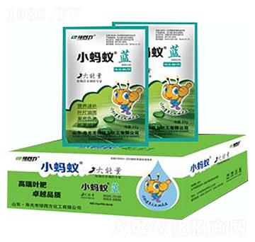 小螞蟻藍-綠四方