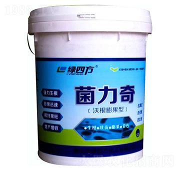 沃根膨果型-菌力奇-綠四方