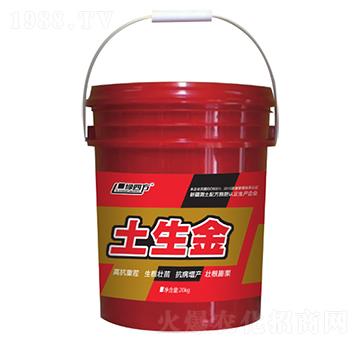 土生金（紅）-綠四方