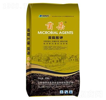 ����-�S�����-�G�ķ�