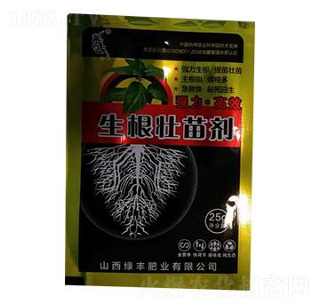 �������焩-�G�S�ʘI(y��)