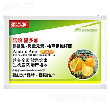 ����̶��-�κ�����