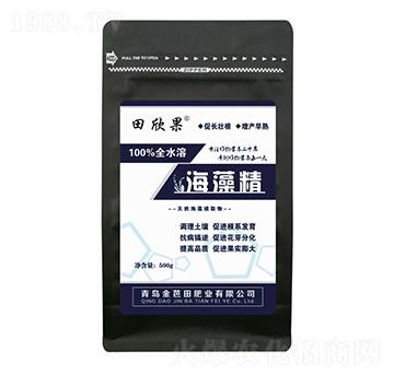 ���徫-������-�����