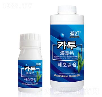 �{(l��n)�������}-���Վ�����