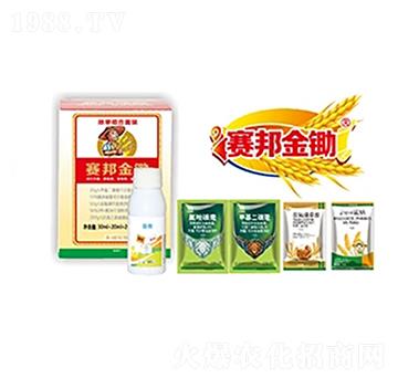 ���������ݽM�����b-ِ��