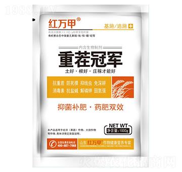 �ز�-�t�f��