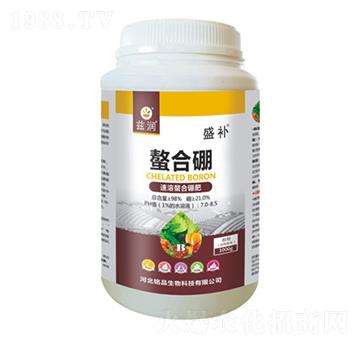 �����������-ʢ�a(b��)-�Ʒ����