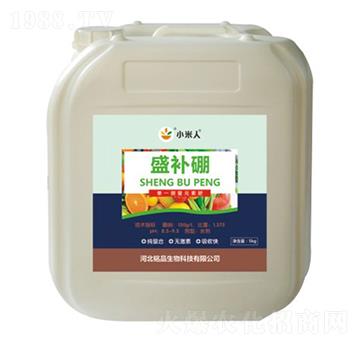 ʢ�a��-С����-�Ʒ����