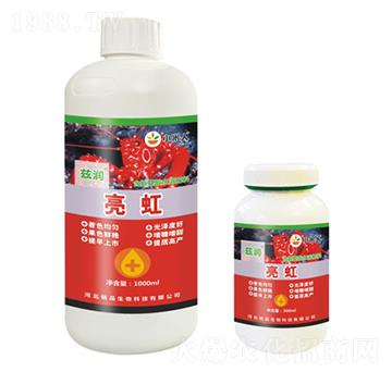 ����-Ɲ��-�Ʒ����