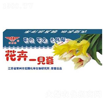 ����һҊϲ-���v����