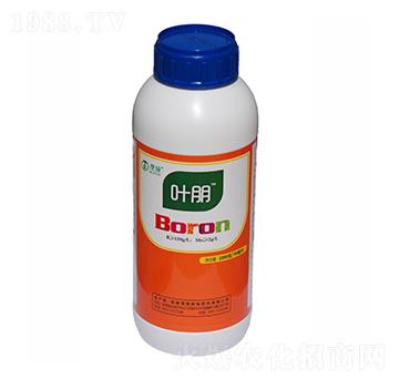 �ЙC���-�~��-ïʩ���B(t��i)��