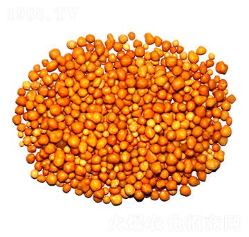 ����n�w����ጷ�15-