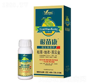 ΢�������-���翵-�ڼژ�