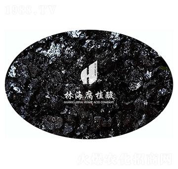 ���VԴ�S�����-�ֺ���ֲ��