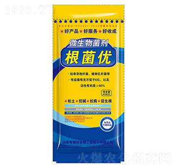 ΢�������-������(y��u)-���Z�_