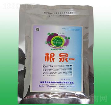 ��Ȫ-����(qi��ng)���ٸ���-��������