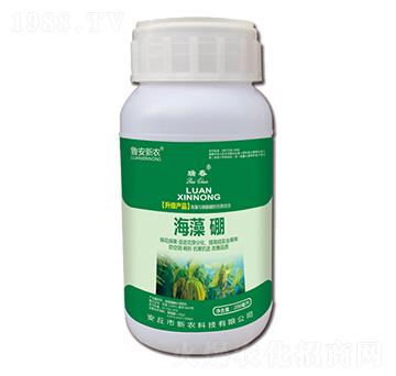 海藻硼-瑞春-新農(nóng)