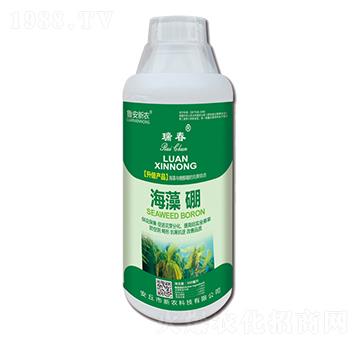 500ml海藻硼-瑞春-新農(nóng)