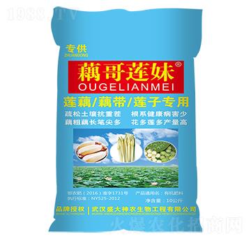 ź��ɏ��-ʢ�����r(n��ng)