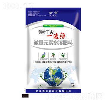 黃葉干尖一遍綠-瑞春-新農(nóng)