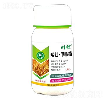 ���ѡ�������-�r(sh��)��-��(��i)ɭ��