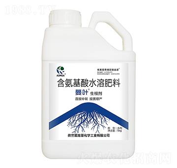 ������-���~-��ʩ��